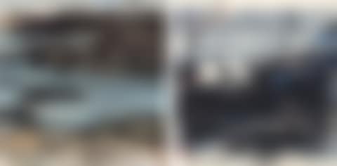 Seashore / Seagulls (preview)