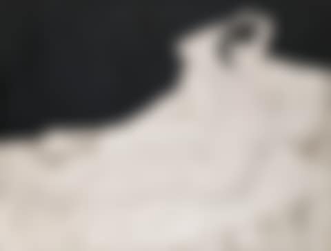 Nu sur un lit, avec un chien
(Reclining Nude with A Small Dog) (preview)