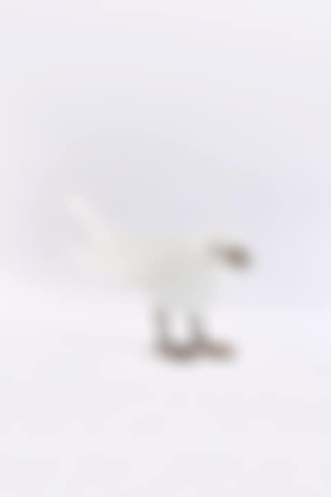 'OISEAU DE VERRE' (preview)