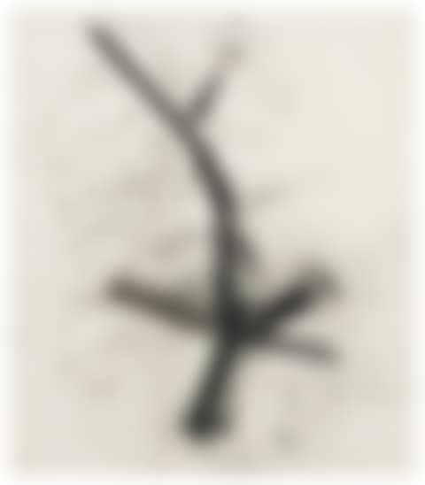 Untitled (preview)