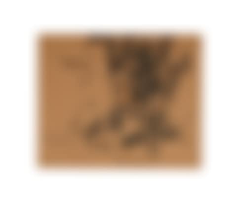 Black and Tan (preview)