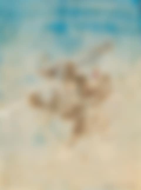 Untitled (preview)