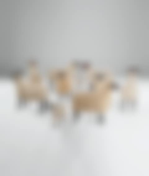Troupeau de Moutons (preview)