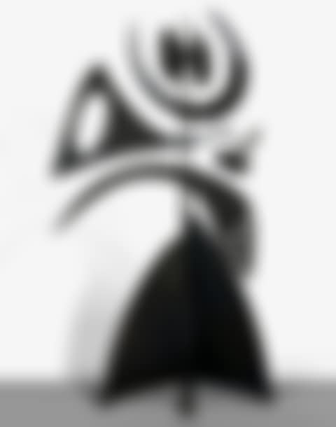 GIROUETTE HIVER (preview)