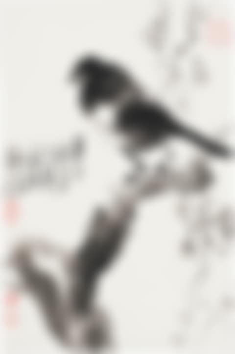 Magpie on Branch (preview)