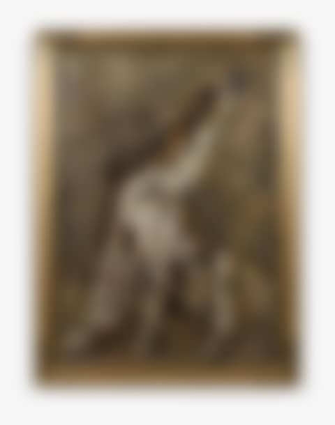 Le chien (preview)