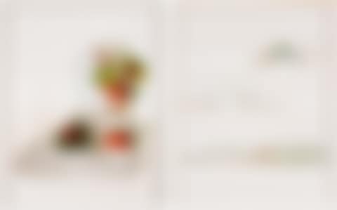 Dishes (Strawberry); Dishes (Porcelain, Green) (Two Works) (preview)