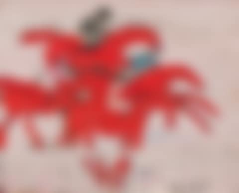 Les chevaux rouges (preview)