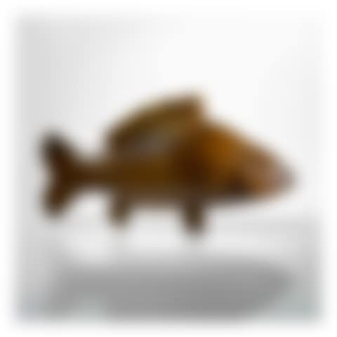 Carpe (preview)