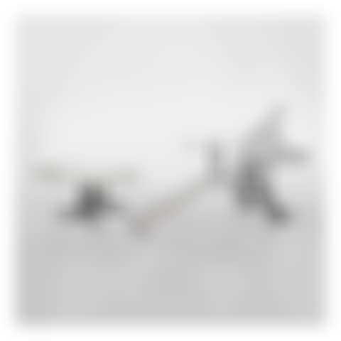 "Grand Oiseau de Marbre" Armchair and Low Table (preview)