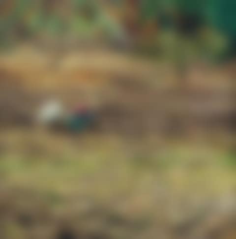Hometown (preview)