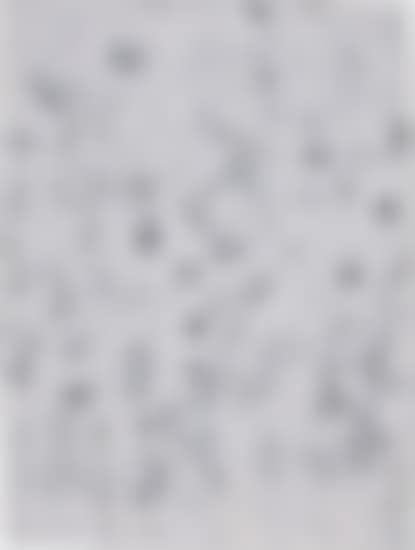 Untitled (NYP2) (preview)