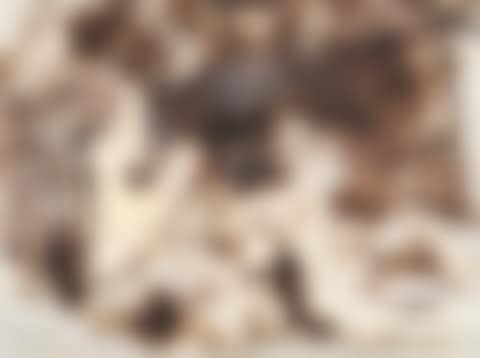 Vagrants (preview)