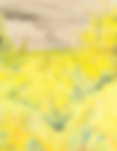 Hillside (preview)