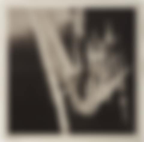The Prickly Dark (G. 212) (preview)
