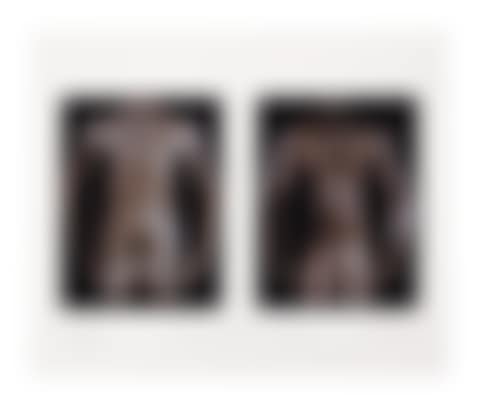 Untitled (In Honor of Peter Hujar) (preview)
