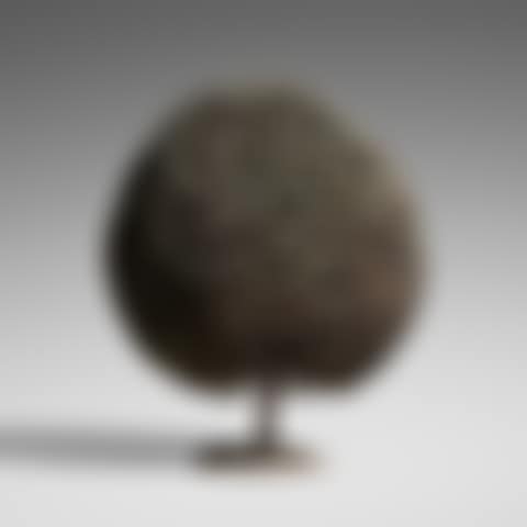 Untitled (Bush Form) (preview)