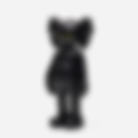 Five Years Later Companion (Black) (preview)