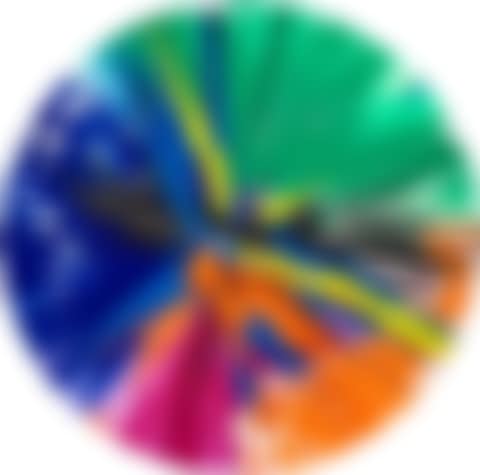 Untitled (Circle Spin Painting) (preview)