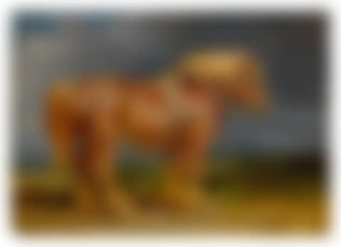 The Shire Horse Elephant in an Extensive Landscape (preview)