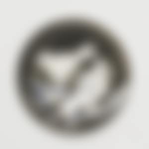 Two birds No. 95 (A.R. 487) (preview)