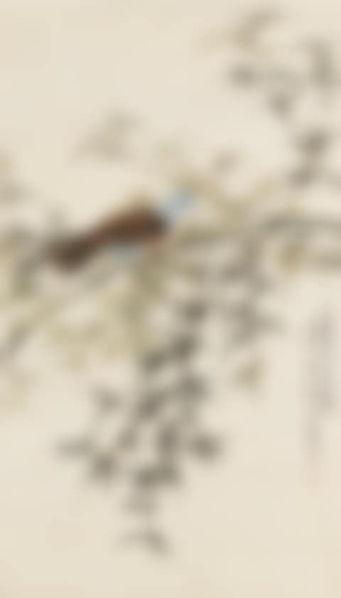 PIGEON ON BAMBOO (preview)