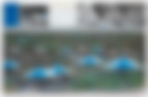 The Umbrellas, Joint Project for Japan and USA (preview)