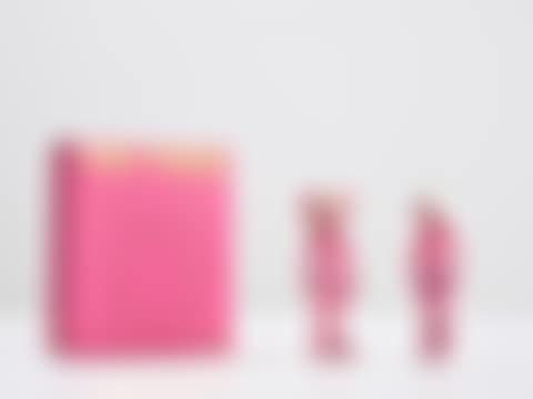 THE TWINS (PINK) (preview)