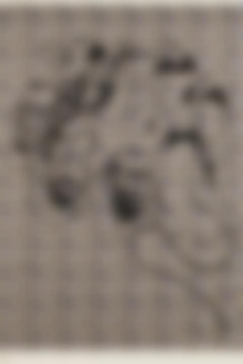 Untitled (preview)