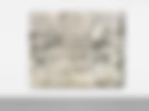 Regata (preview)