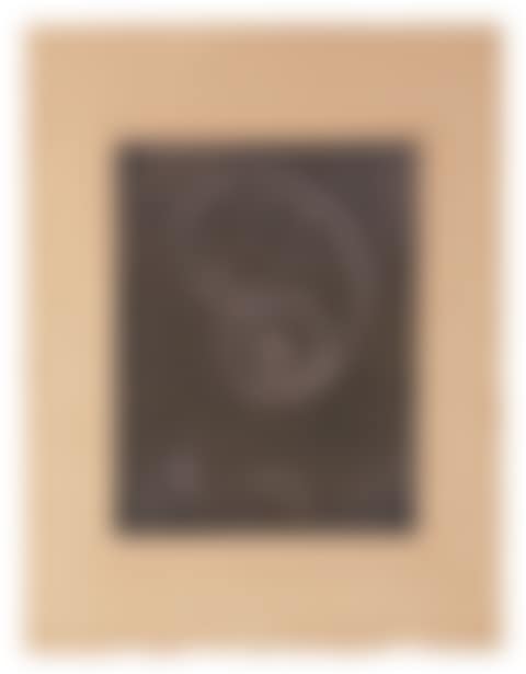 Documenta (preview)