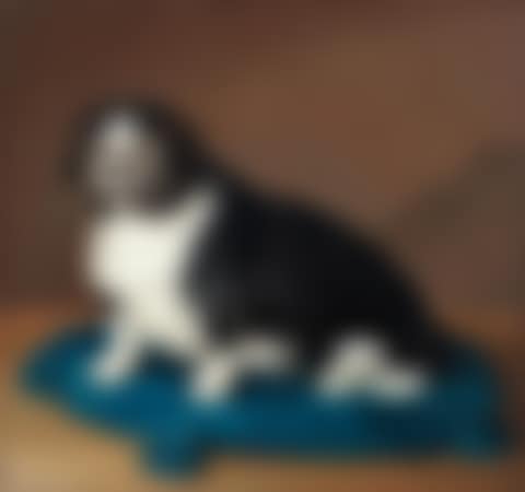 Dog on a blue cushion (preview)