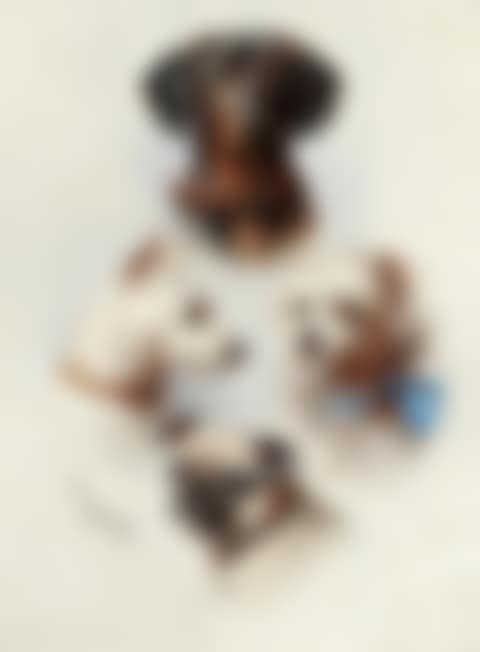 A motley crew (preview)