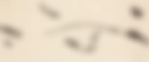 Untitled (Scroll) (preview)