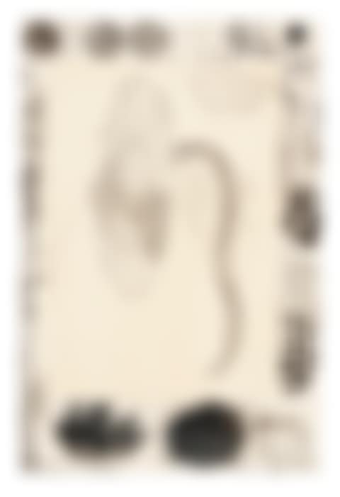 Marginalia (preview)