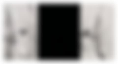 The Large Door, from Hegel's Cellar (preview)