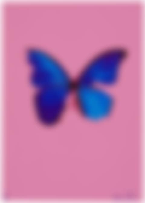 Blue Butterfly (preview)