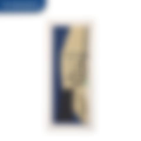 America La France Variations VIII (W.A.C. 336) (preview)