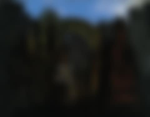 Cage, forêt et soleil noir (preview)