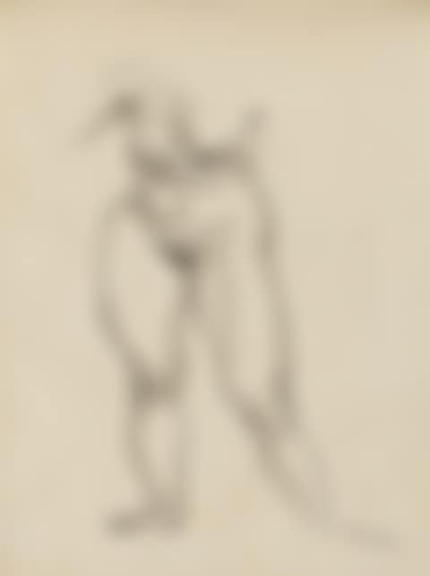 Stehender weiblicher Akt (preview)
