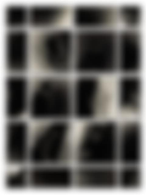 Dark Shadow No. 3 (preview)