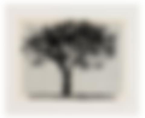 Universal Archive (Big Tree) (preview)