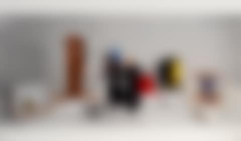 Test Room Containing Multiple Stimuli Known to Elicit Curiosity and Manipulatory Responses (Full Cast) [2] (preview)