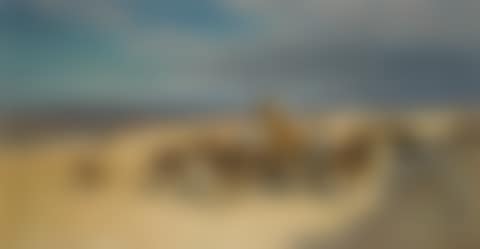 The Water Carriers, Tangier (preview)