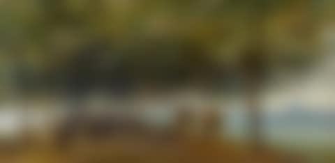 The Pyramids Road, Gizeh (preview)