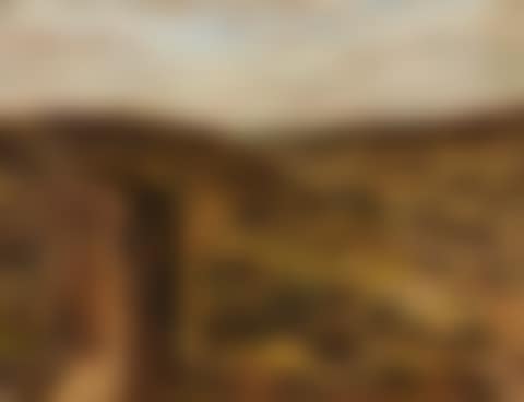 Paysage (preview)