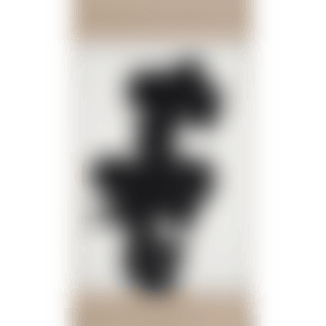 Rō (preview)