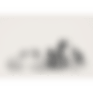 Trolleys (preview)