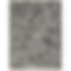 RELATUM C (Print No.49) (preview)