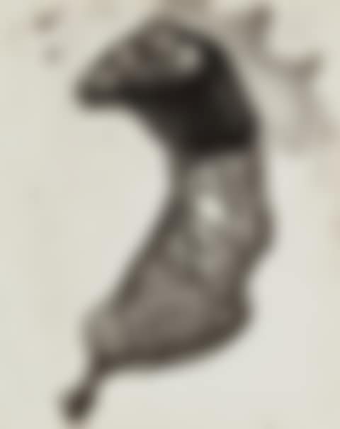 'Negative #74' (Chicken Parts) (preview)